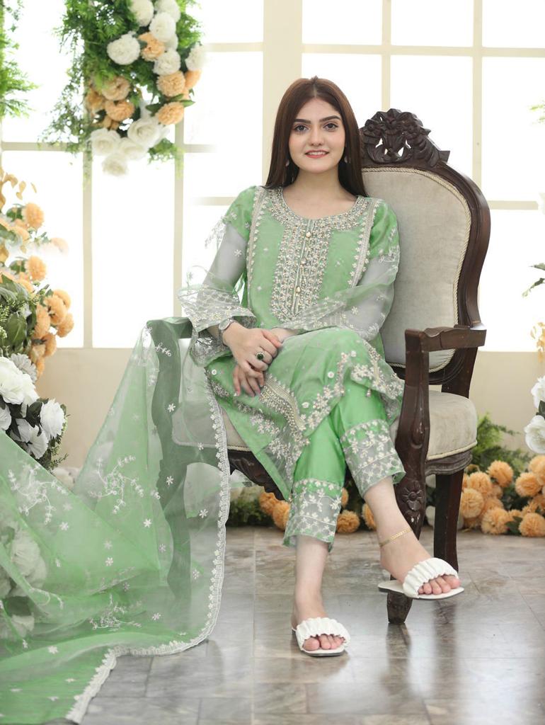 TEHZEEB Organza 3pcs Stitch suit