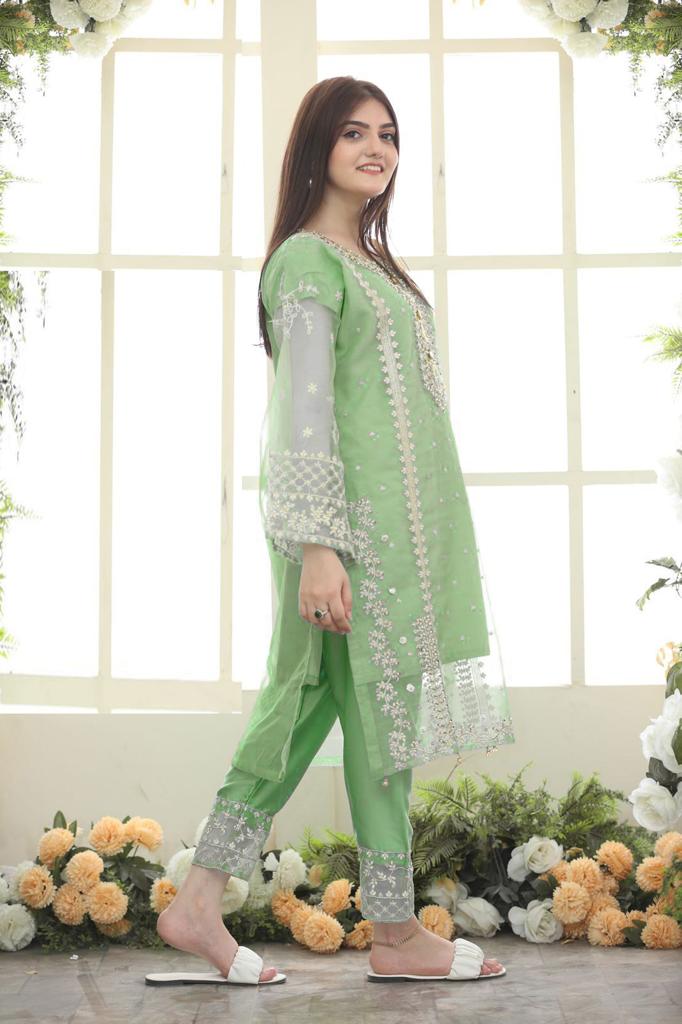 TEHZEEB Organza 3pcs Stitch suit